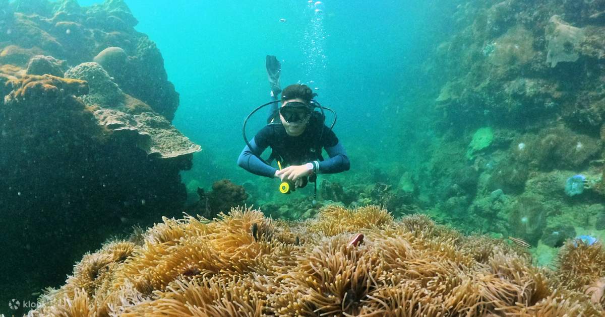 Scuba Diving Day Tour in Phu Quoc, Vietnam Klook Hong Kong